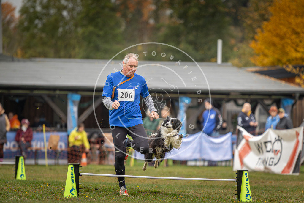 Pfotenfotografie_DV3A1749 | Hundefotografie, Tierfotograf, Pfotenfotografie, Fotoshooting Hund, Hunde Portrait, Hundesport, Hundeportraits, Heideshooting, Hunde, Sportfotograf, Hundefotograf, Turnierhundsport, THS,  - Realisiert mit Pictrs.com