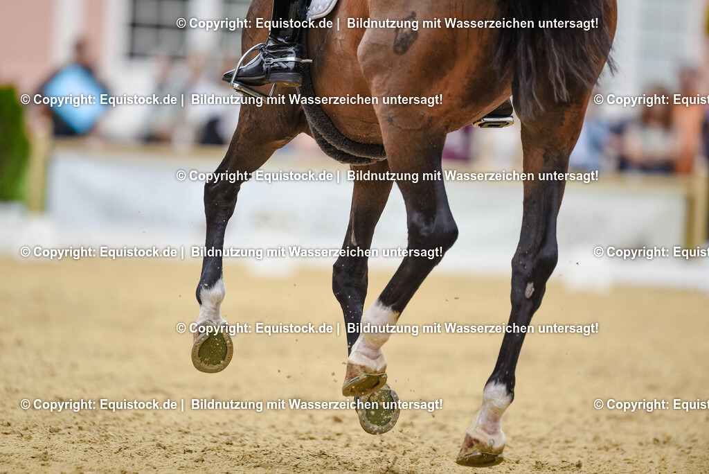 20250607_1_GP-Tour_Dressage_0325 | Foto: Thomas Hartig
