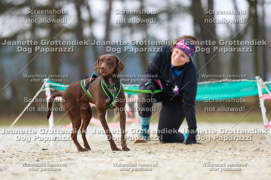 Dog Paparazzi - Strongdog North Mrz26-3886 | Dog Paparazzi Jeanette Grottendiek Fotografie & Videografie - Realisiert mit Pictrs.com