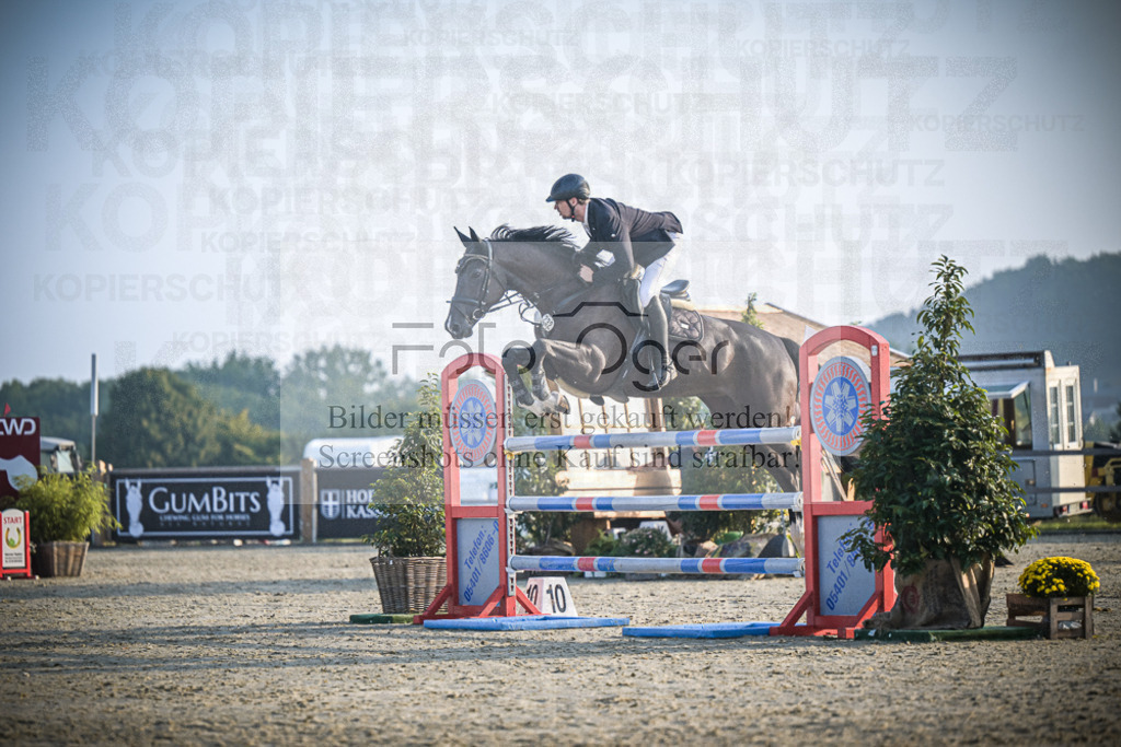 DOS_0151 | Entdecke hochwertige Reitturnierfotos von Foto Oger. Professionell, emotional und authentisch – jetzt Lieblingsmomente im Shop bestellen.Deutschlandweite Turnierfotografie. - Realisiert mit Pictrs.com
