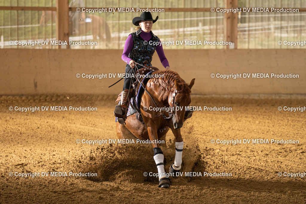 LAU01371 | dv-media-shop - Realisiert mit Pictrs.com