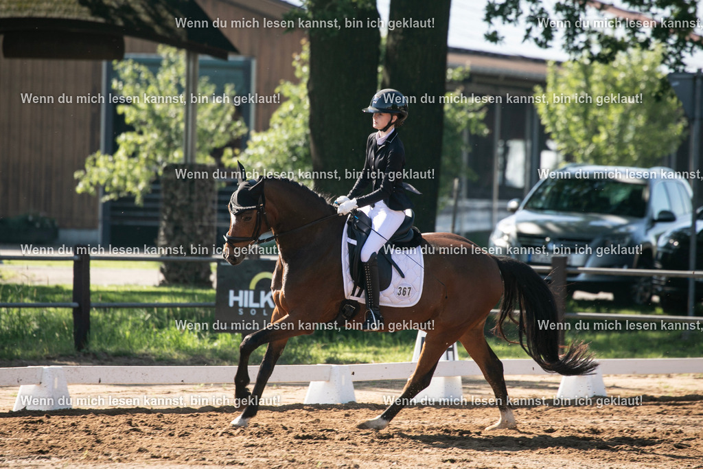 598A6393 | photographylinaismer - Realisiert mit Pictrs.com