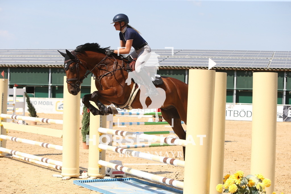 DL2Q1680 | Willkommen bei Brunnmayr - Design & Fotografie – Ihrem Spezialisten für Reitturniere und Pferdeveranstaltungen in Oberösterreich, Salzburg und Bayern! Seit über 17 Jahren sind wir leidenschaftlich dabei.