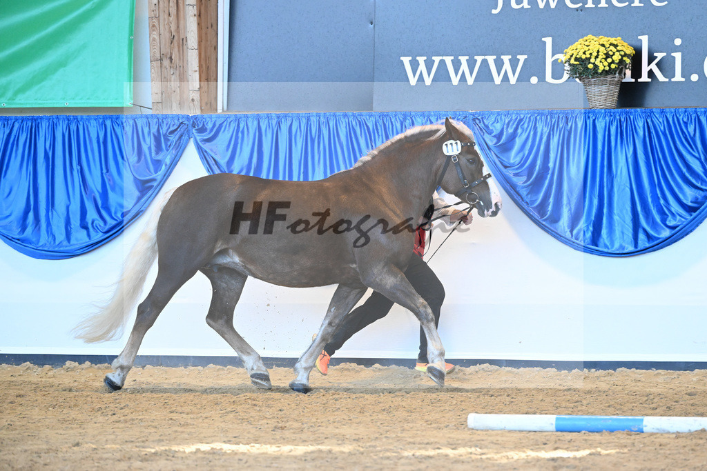 Kat-Nr. 111 Feine Lioba_ZG Schmidt-Schroeder_53220798 | hf-fotografie - Realizzato con Pictrs.com