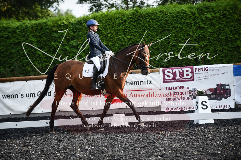 DSC_3364 | Pferde- und Turnierfotografie in Westsachsen. Pferdeportraits, Auftragszeichnungen und intuitive Kunst.