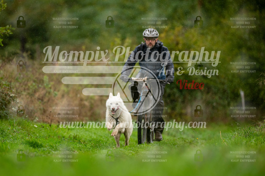 TSB_2023_E6_Bike-50 | PayLife