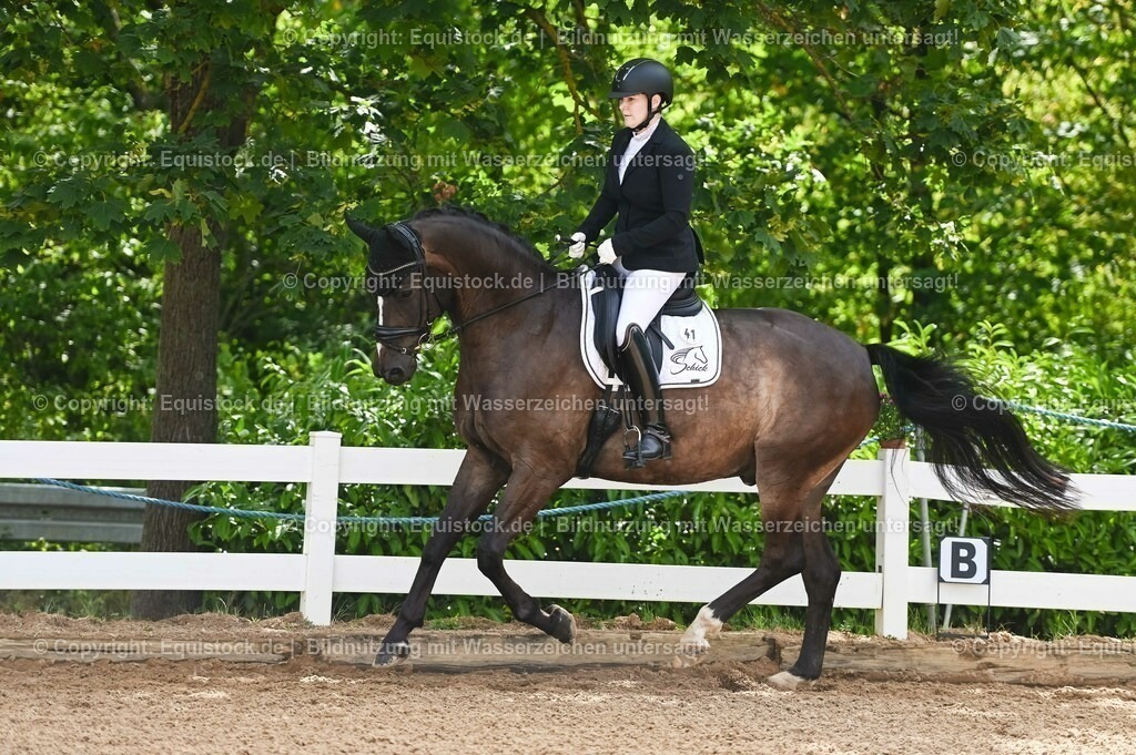 20230715_07_Dressurpferdeprfg. Kl.L_0121 | equistock