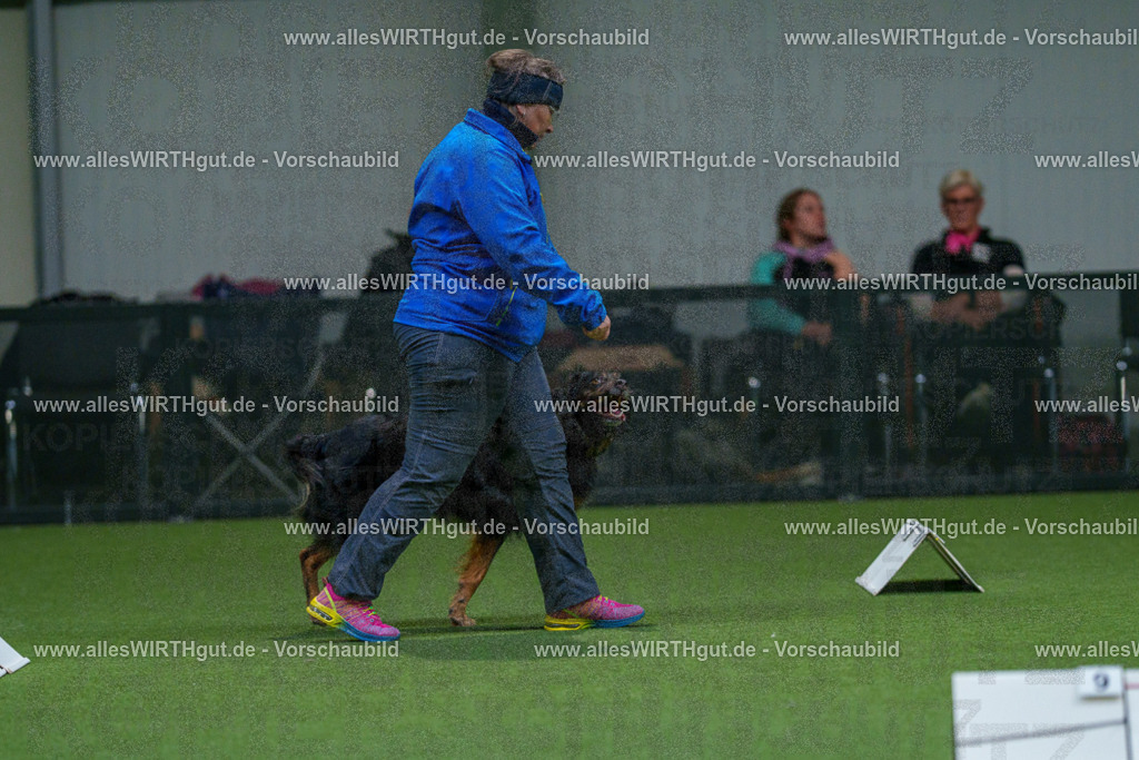 7R504024 | Professionelle Tierfotografie in Mönchengladbach von Daniel Wirth (allesWIRTHgut). Liebevolle & natürliche Bilder von Hunden & Katzen für unvergessliche Erinnerungen.