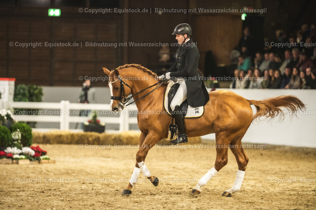 20240302_Hengstvorstellung_Marbach_TOMsPiC_0898 | equistock
