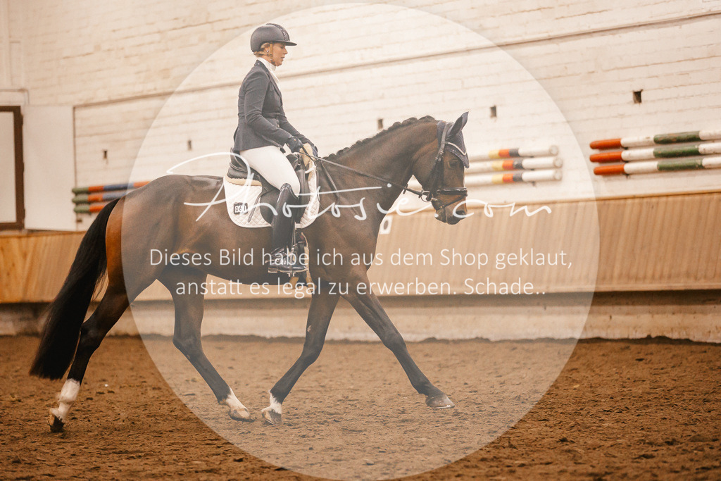 3I6A4509 | Stimmungsvolle Portraits und Reitsportfotografie im Ruhrgebiet und im Münsterland.

Pferdefotografie, Hundefotografie, Tierfotografie, Reportagen, Portraits von Tier und Mensch, Turnierfotografie in Bochum, Recklinghausen, Marl, Haltern am See, Dülmen.. - Realisiert mit Pictrs.com