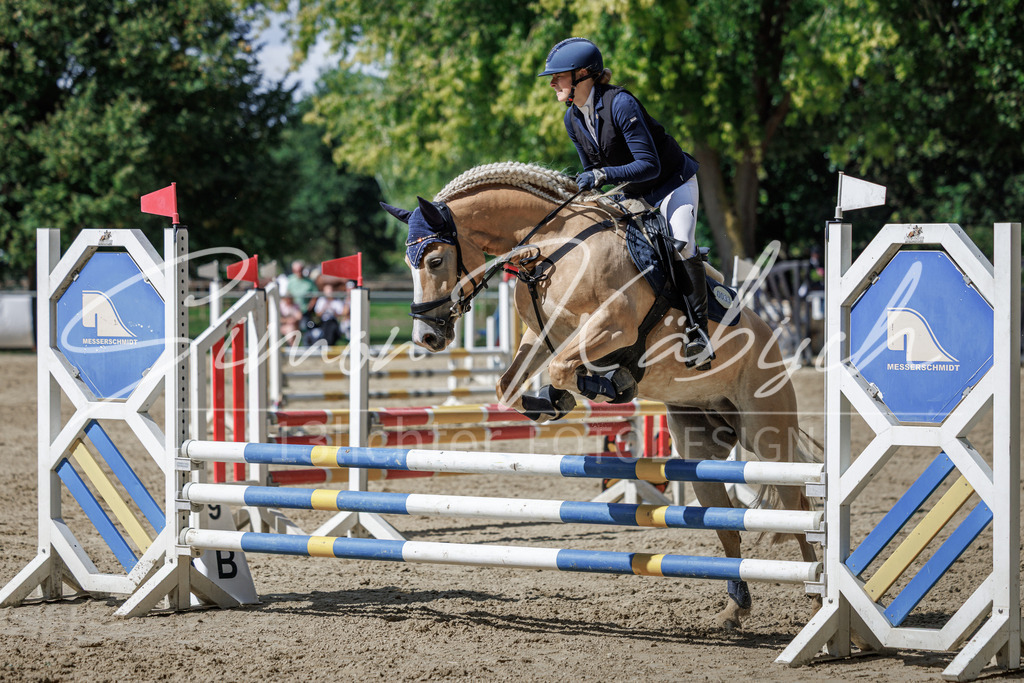 20260905-_3LI9422 | Tierfotografie Pferde, Hunde, Katzen, Haustiere.
Turnierfotografie Reitturniere, Reiten, Springreiten, Dressur in Hanau, dem Main-Kinzig-Kreis und dem Rhein-Main- Gebiet um Frankfurt
