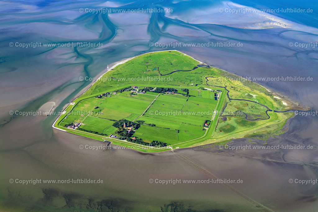 Neuwerk_ELS_8740160823 | INSEL NEUWERK 16.08.2023 Küstenbereich der Nordsee - Insel Neuwerk im Wattenmeer im Bundesland Niedersachsen, Deutschland. // Coastal area of the North Sea - Insel Neuwerk in the Wadden Sea in the state Lower Saxony, Germany. Foto: Martin Elsen
