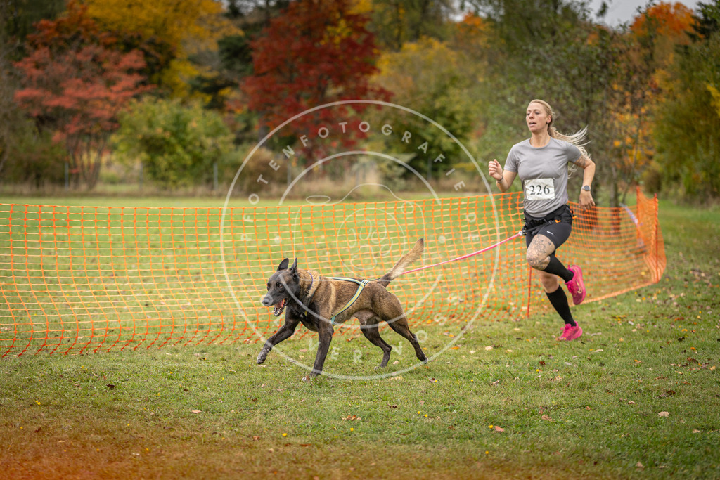 Pfotenfotografie_DV3A4638 | Hundefotografie, Tierfotograf, Pfotenfotografie, Fotoshooting Hund, Hunde Portrait, Hundesport, Hundeportraits, Heideshooting, Hunde, Sportfotograf, Hundefotograf, Turnierhundsport, THS,  - Realisiert mit Pictrs.com