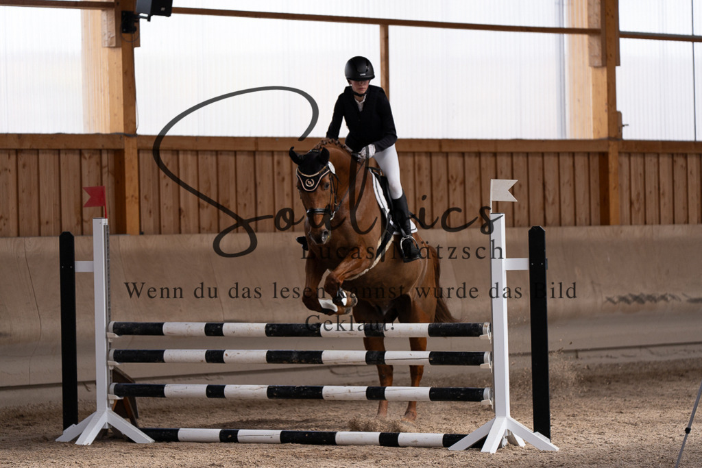 A7507732 | Pferdefotograf