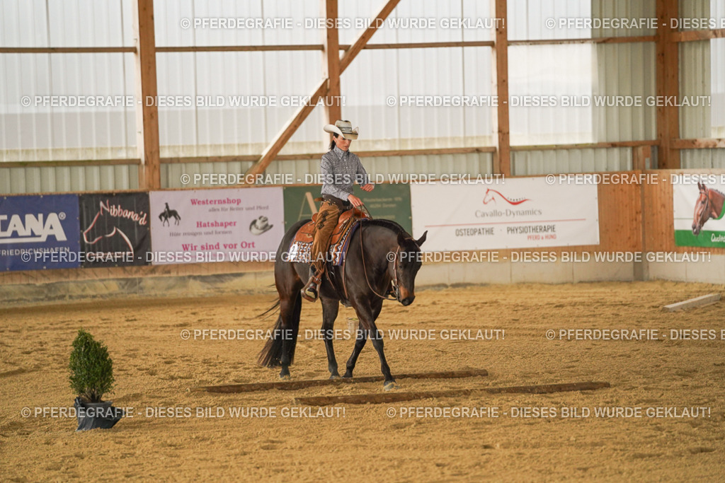 DSC04172 | Pferdegrafie