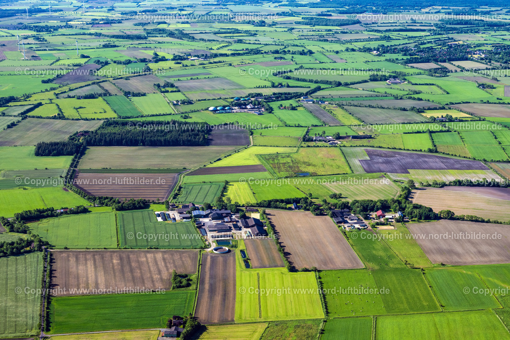 Boverstedt_ELS_7738100623 | BOVERSTEDT 10.06.2023 Landwirtschaftliche Nutzflächen und Feldgrenzen umsäumen das Siedlungsgebiet des Dorfes in Boverstedt im Bundesland Schleswig-Holstein, Deutschland. // Agricultural land and field boundaries surround the settlement area of the village in Boverstedt in the state Schleswig-Holstein, Germany. Foto: Martin Elsen