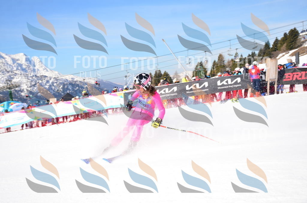 VR4_9235 | holidayphoto