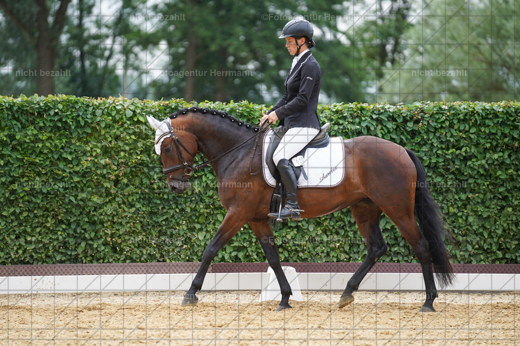 20240630-FAH00900 | Turnierbilder Schwabmünchen, Dressurbilder, Springreitturnier, Reitsportbilder, Turnierfotografen Bayern, Turnierfotograf