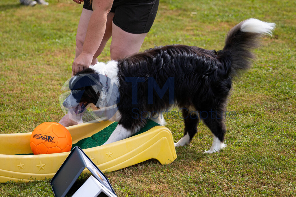 TP-20240815-0111 | Copyright: Trainproduction / Matthias Trinkl