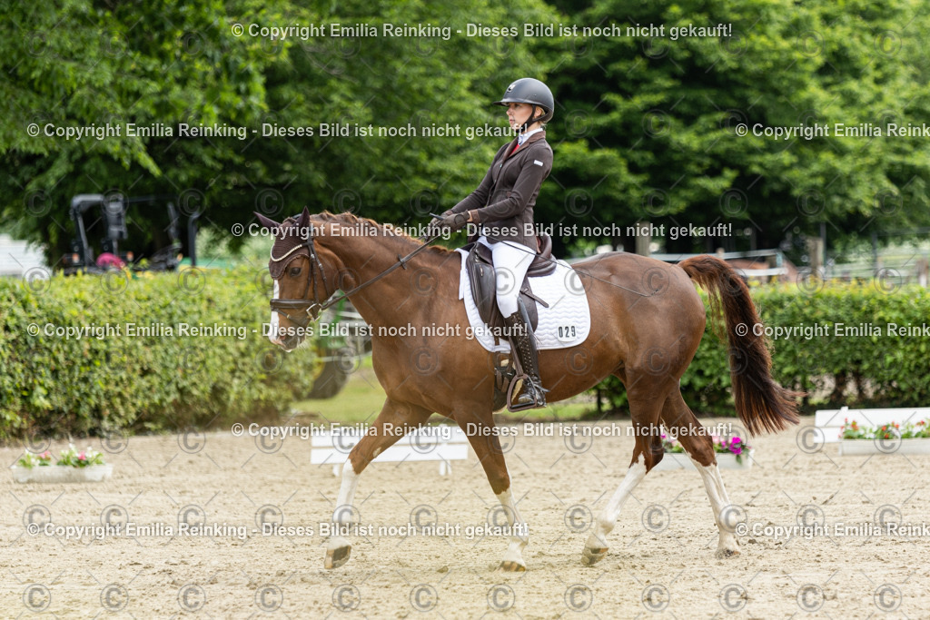 CL5A0647 | Emilia Reinking Fotografie - Realisiert mit Pictrs.com