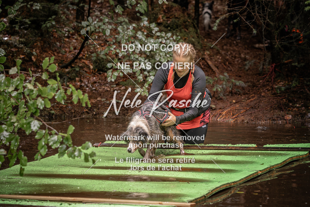 nelerasche_Wingst_Sa1330-1400_272 | nelerasche