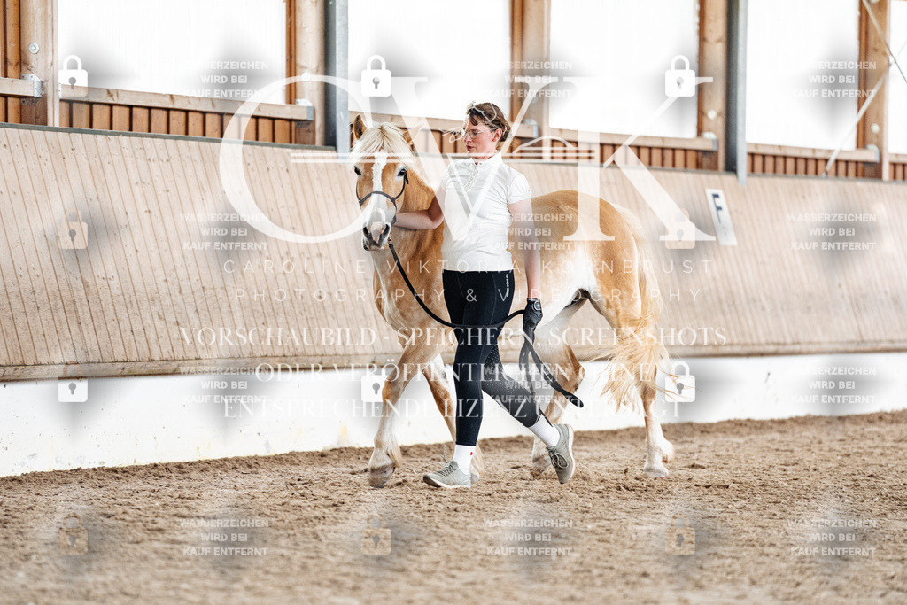 CK908600 | Turnierfotografie Pferdefotografie Trier Rheinland-Pfalz Pferdesport Reitsport Tierfotografie Sportfotografie Pferdevideo Pferdevideografie Equestrianvideography equestrianphotography  - Realisiert mit Pictrs.com