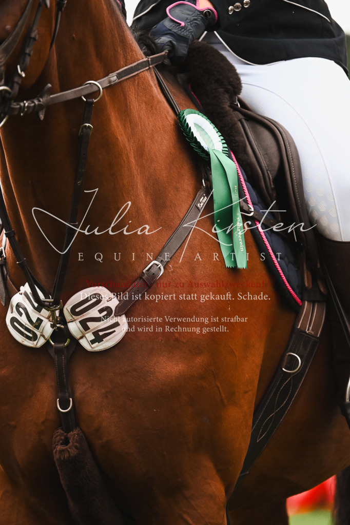 DSC_6689 | Pferde- und Turnierfotografie in Westsachsen. Pferdeportraits, Auftragszeichnungen und intuitive Kunst.