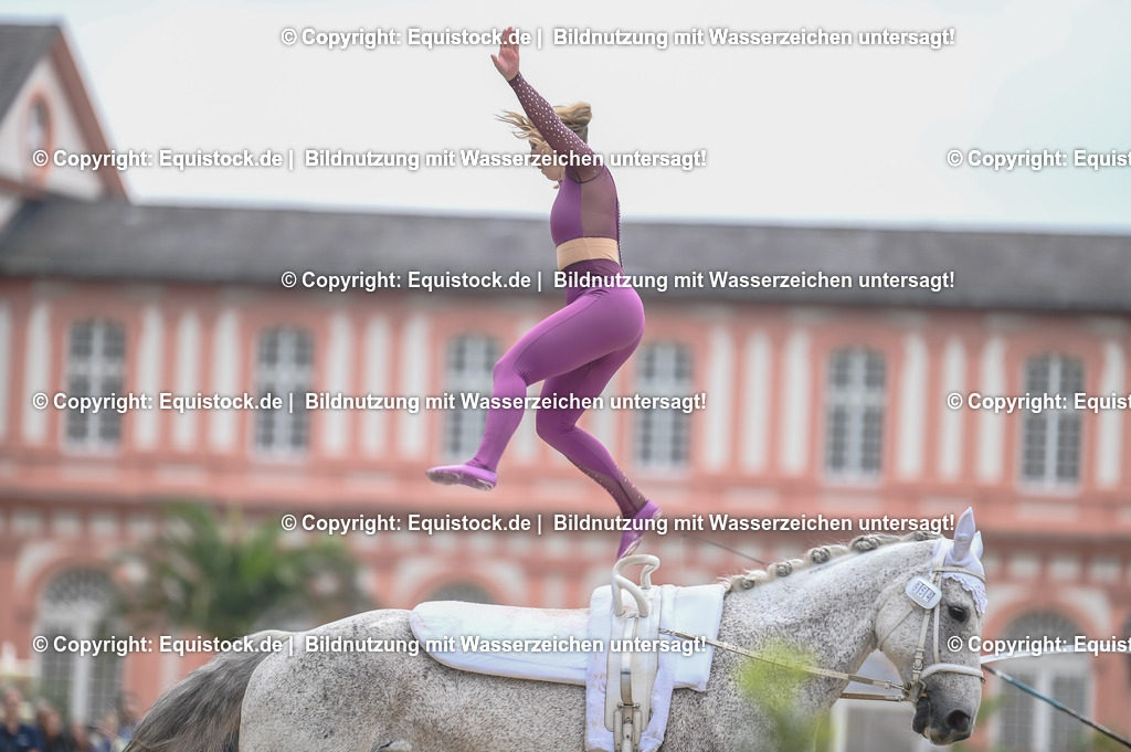 20240519_Voltige_0029 | Foto: Thomas Hartig