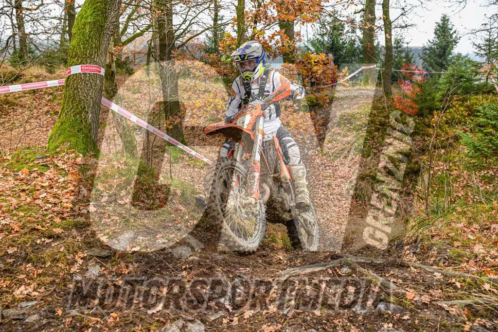 NZ8_4727 | grenznic640