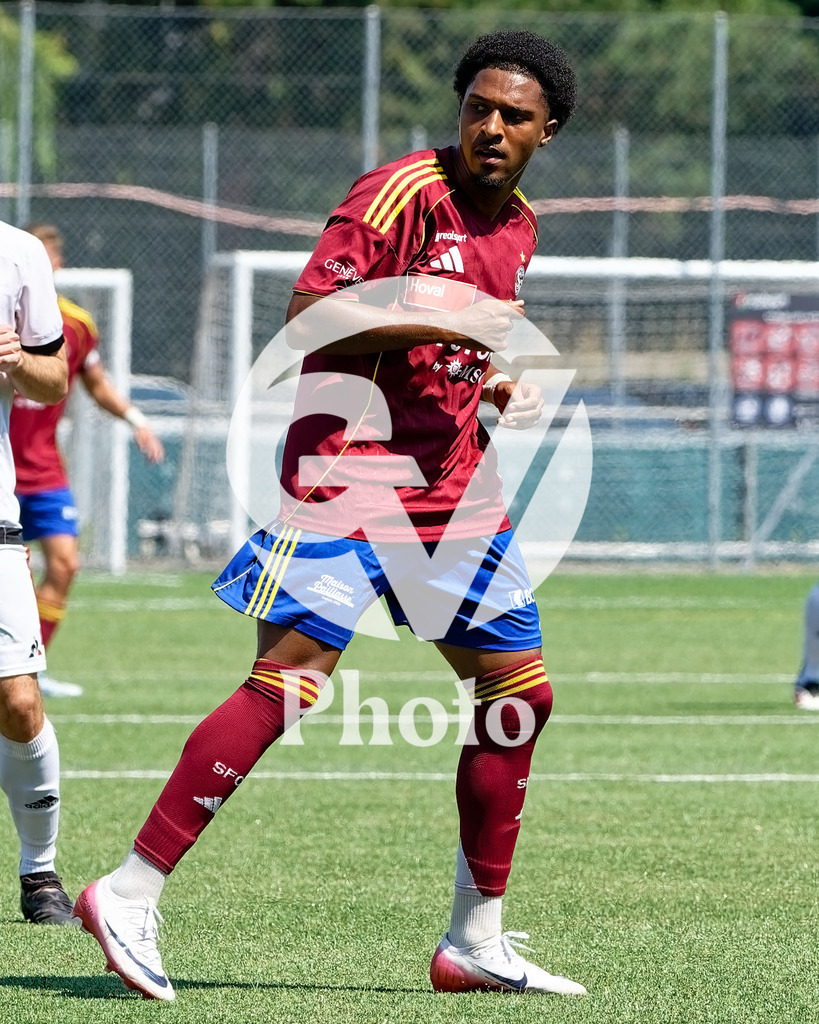 014_DZ8_1545 | Velletri Photo