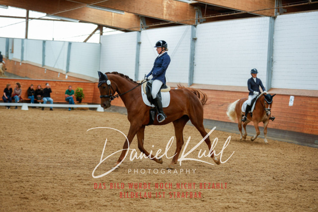 _62_5578 | Turniersportfotografie; Pferdefotografie; Dressurfotografie