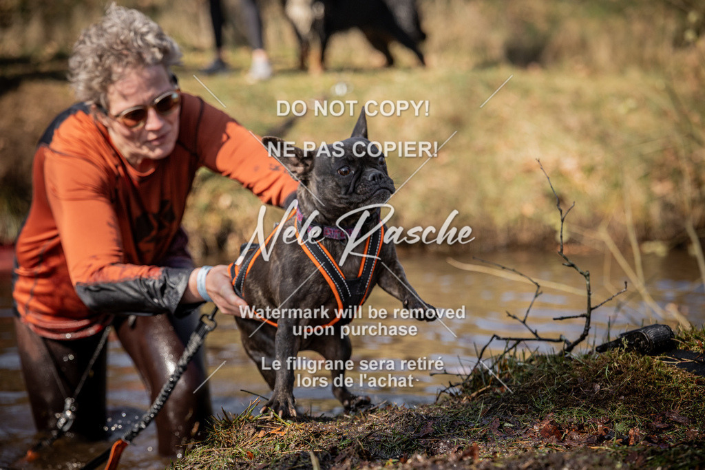 nelerasche_FS1300-1330_263 | nelerasche