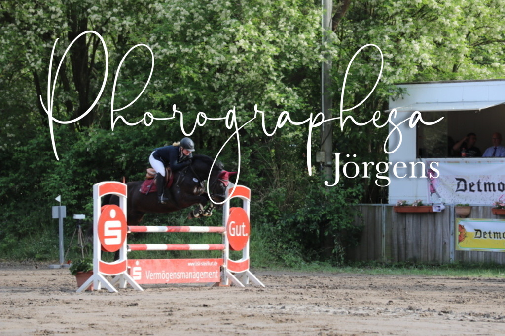 IMG_9060 | photographesa-joergens - Realisiert mit Pictrs.com