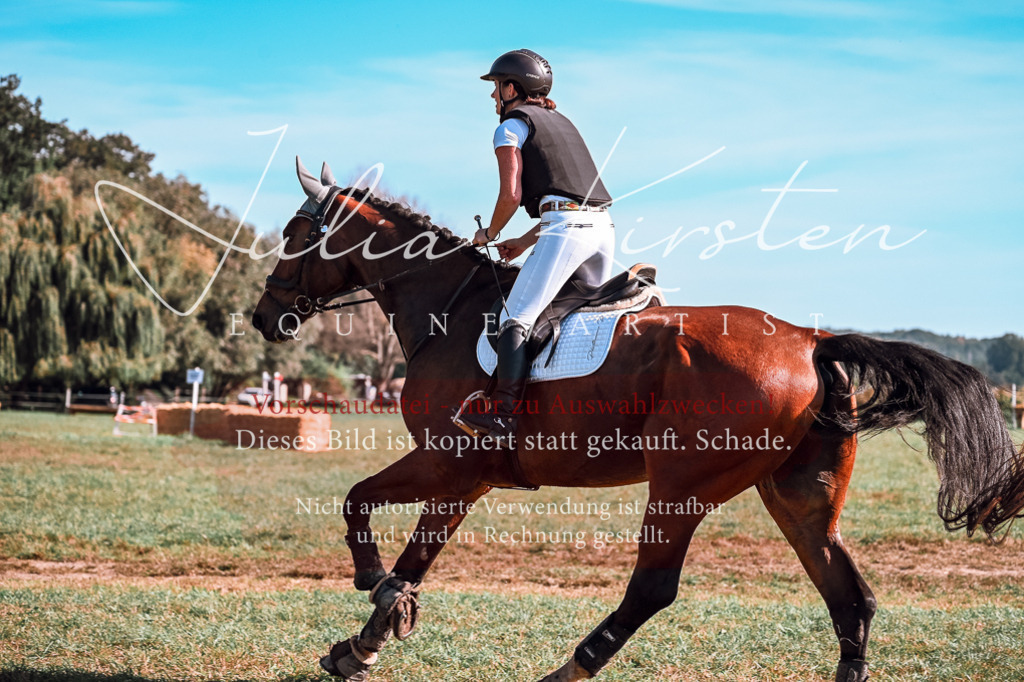 DSC_0987 | Pferde- und Turnierfotografie in Westsachsen. Pferdeportraits, Auftragszeichnungen und intuitive Kunst.