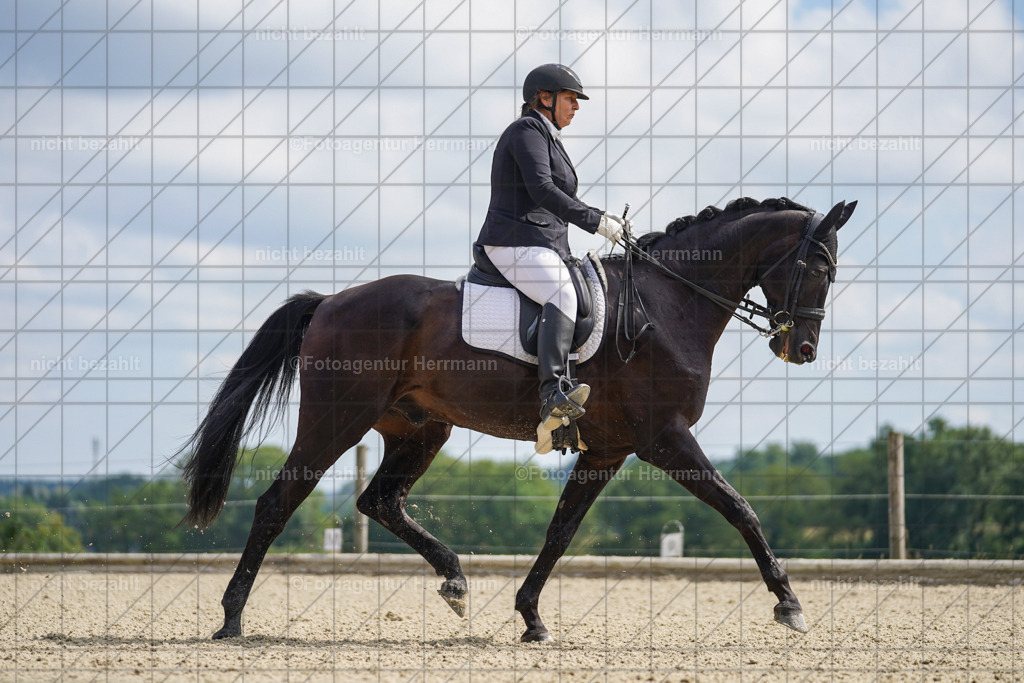 20230826-FAH05754 | Forstinning, 2023, Dressurturnier, Turniersportbilder, Turnierfotografen Bayern, Fotoagentur Herrmann, Reitsportfotografie, Turnierbilder
