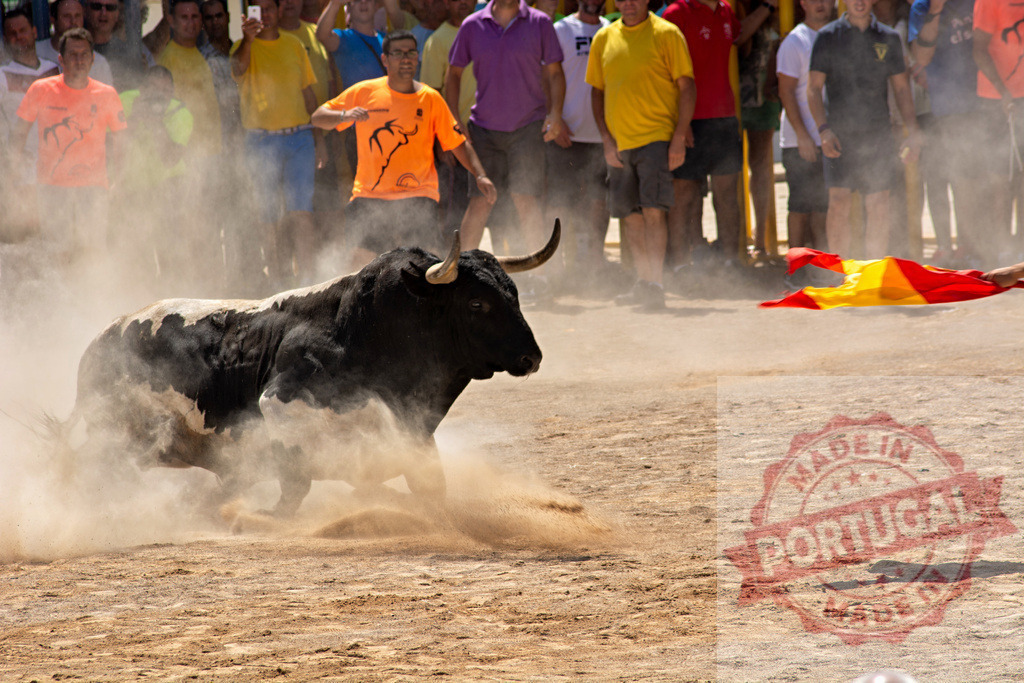 Charging bull creating dust in a Spanish traditional arena | Bull running in a dusty arena with spectators watching a traditional Spanish event - Realized with Pictrs.com