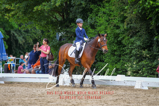 DKP46282 | Turnierfotos kaufen im Webshop von Daniel Kuhl Photography – entdecke professionelle Reitsportfotos aus Turnieren & Events. Hochwertige Turnierbilder online bestellen & sichern. Jetzt Fotos von Reitsportturnieren kaufen!