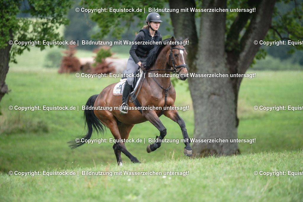 20250726_Vielseitigkeitslehrgang-Marbach_0703 | Foto: Thomas Hartig