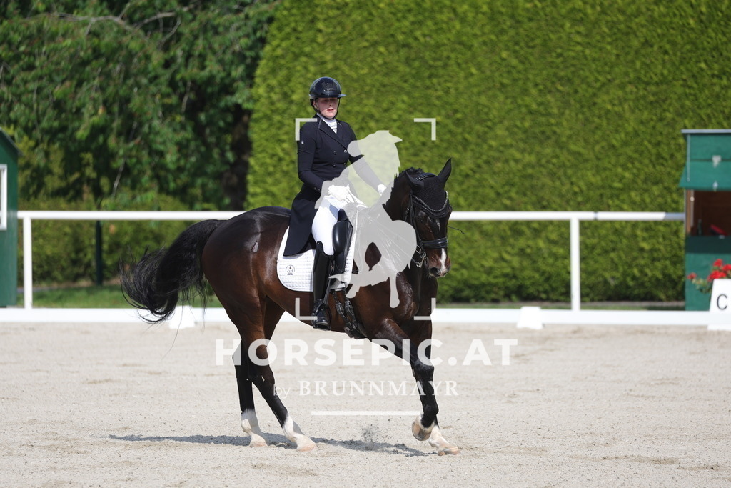 0P6A6736 | Willkommen bei Brunnmayr - Design & Fotografie – Ihrem Spezialisten für Reitturniere und Pferdeveranstaltungen in Oberösterreich, Salzburg und Bayern! Seit über 17 Jahren sind wir leidenschaftlich dabei.