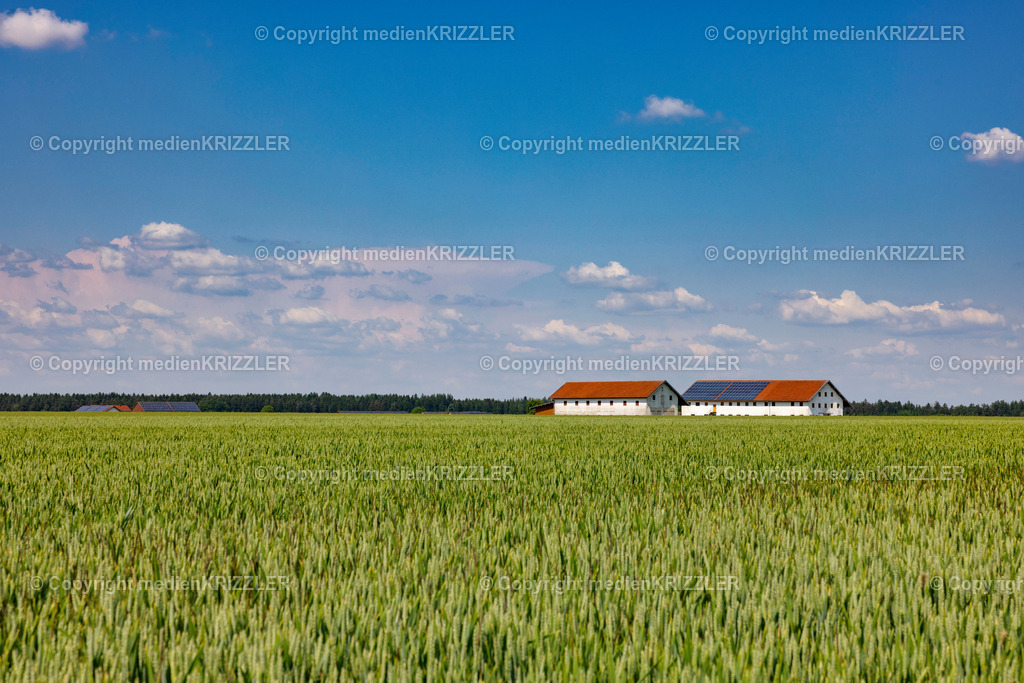 _J3A1225 | medienkrizzler - Realisiert mit Pictrs.com