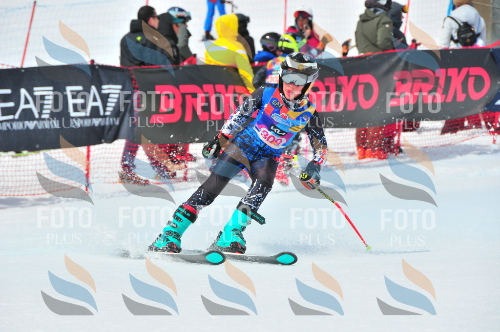 DSC_6616 | holidayphoto