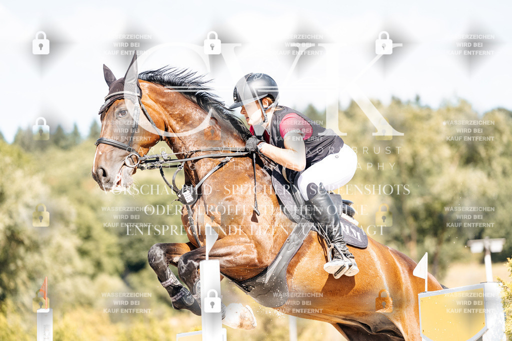 CK909125 | Turnierfotografie Pferdefotografie Trier Rheinland-Pfalz Pferdesport Reitsport Tierfotografie Sportfotografie Pferdevideo Pferdevideografie Equestrianvideography equestrianphotography  - Realisiert mit Pictrs.com