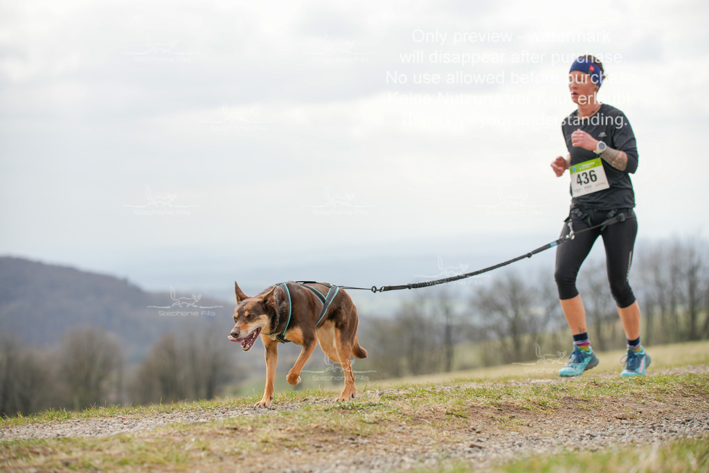 CaniXRunSA-200 | stephaniefillaphotographie - Realisiert mit Pictrs.com