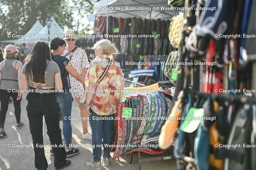 D78_3789 | equistock