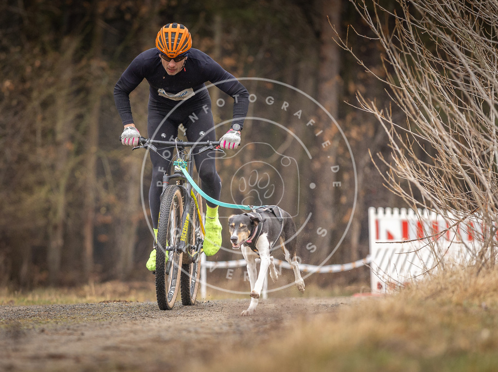 DV3A3182 | Hundefotografie, Tierfotograf, Pfotenfotografie, Fotoshooting Hund, Hunde Portrait, Hundesport, Hundeportraits, Heideshooting, Hunde, Sportfotograf, Hundefotograf, Turnierhundsport, THS,  - Realisiert mit Pictrs.com