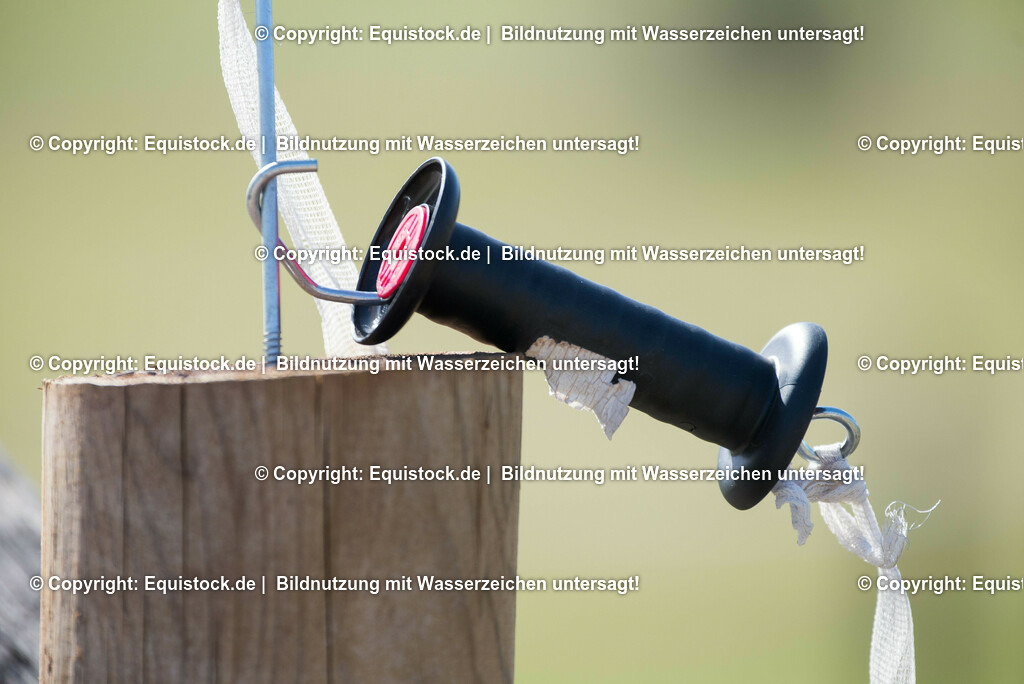 20170312_Koppelzaun_0006 | equistock