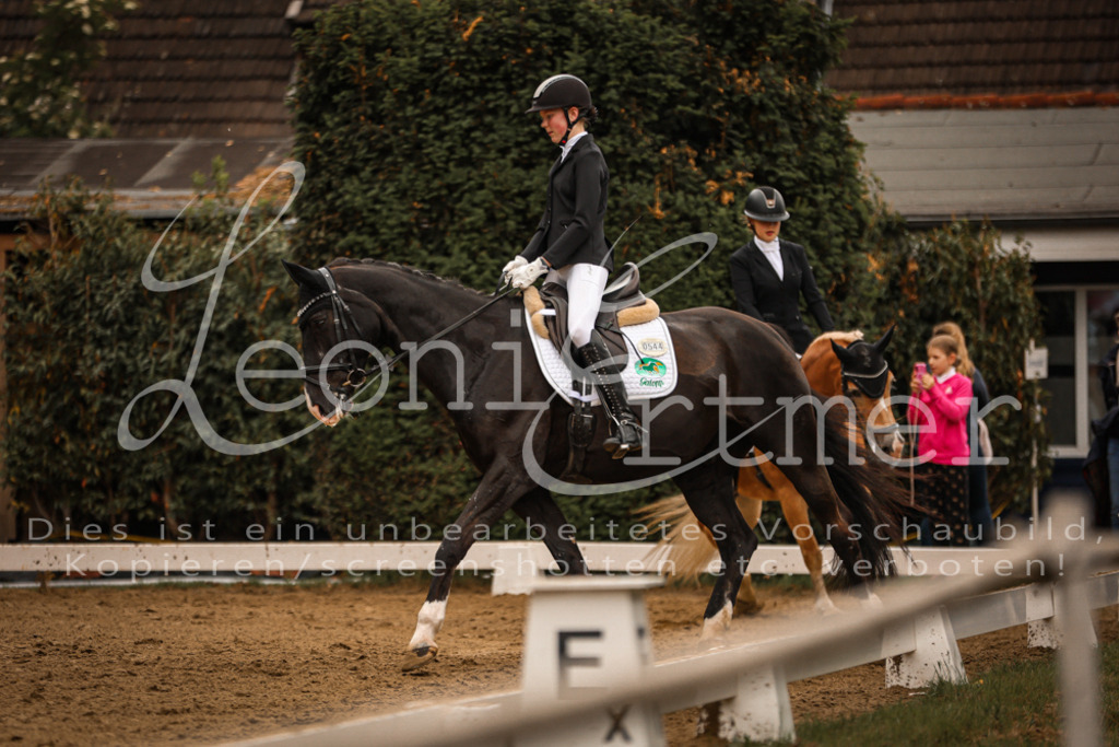 DoDrE00143 | Leoni Ertmer Photography - Realisiert mit Pictrs.com