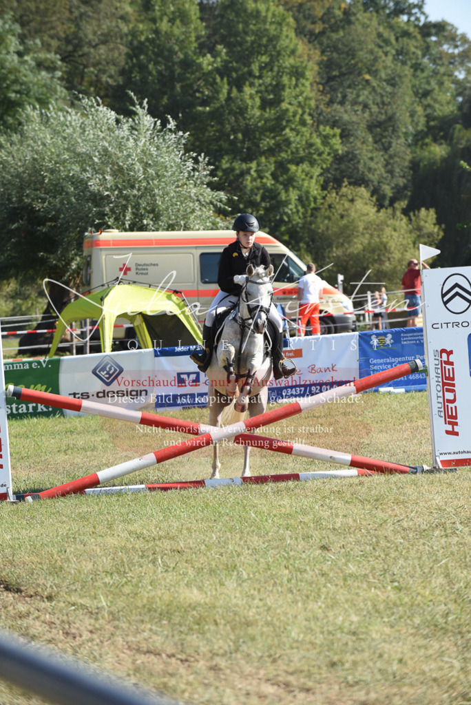 DSC_5869 | Pferde- und Turnierfotografie in Westsachsen. Pferdeportraits, Auftragszeichnungen und intuitive Kunst.