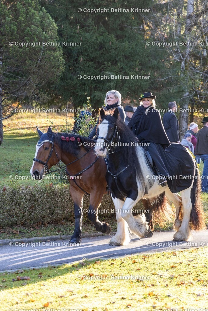 LL24-148 | foto-bettina-krinner - Realisiert mit Pictrs.com