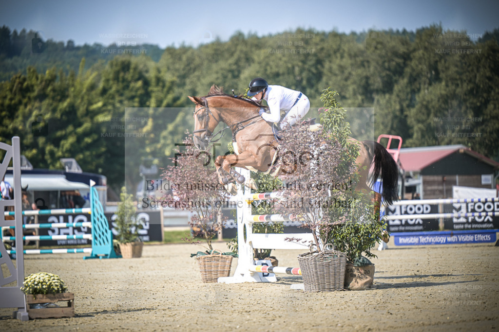 DOS_0582 | Entdecke hochwertige Reitturnierfotos von Foto Oger. Professionell, emotional und authentisch – jetzt Lieblingsmomente im Shop bestellen. - Realisiert mit Pictrs.com